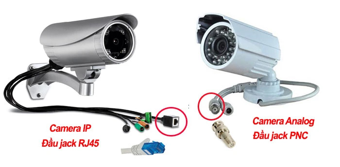Camera ip và camera analog